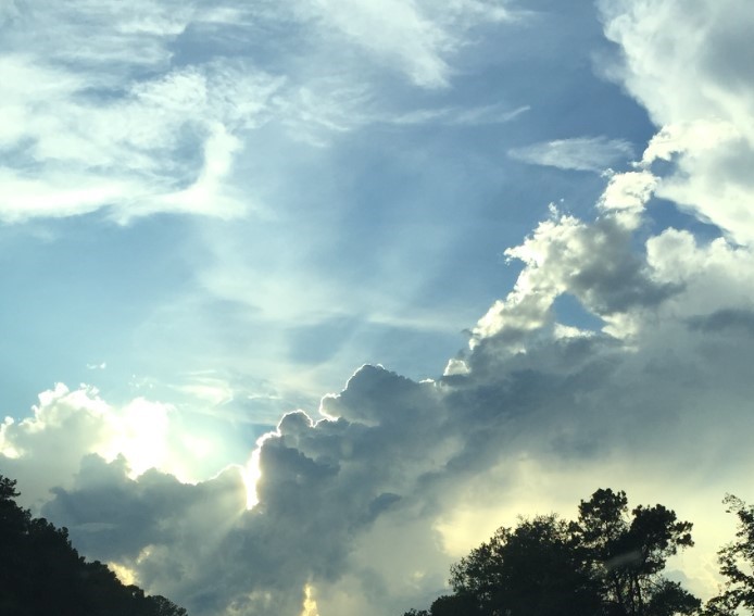 Clouds in north Florida passing over tree tops.