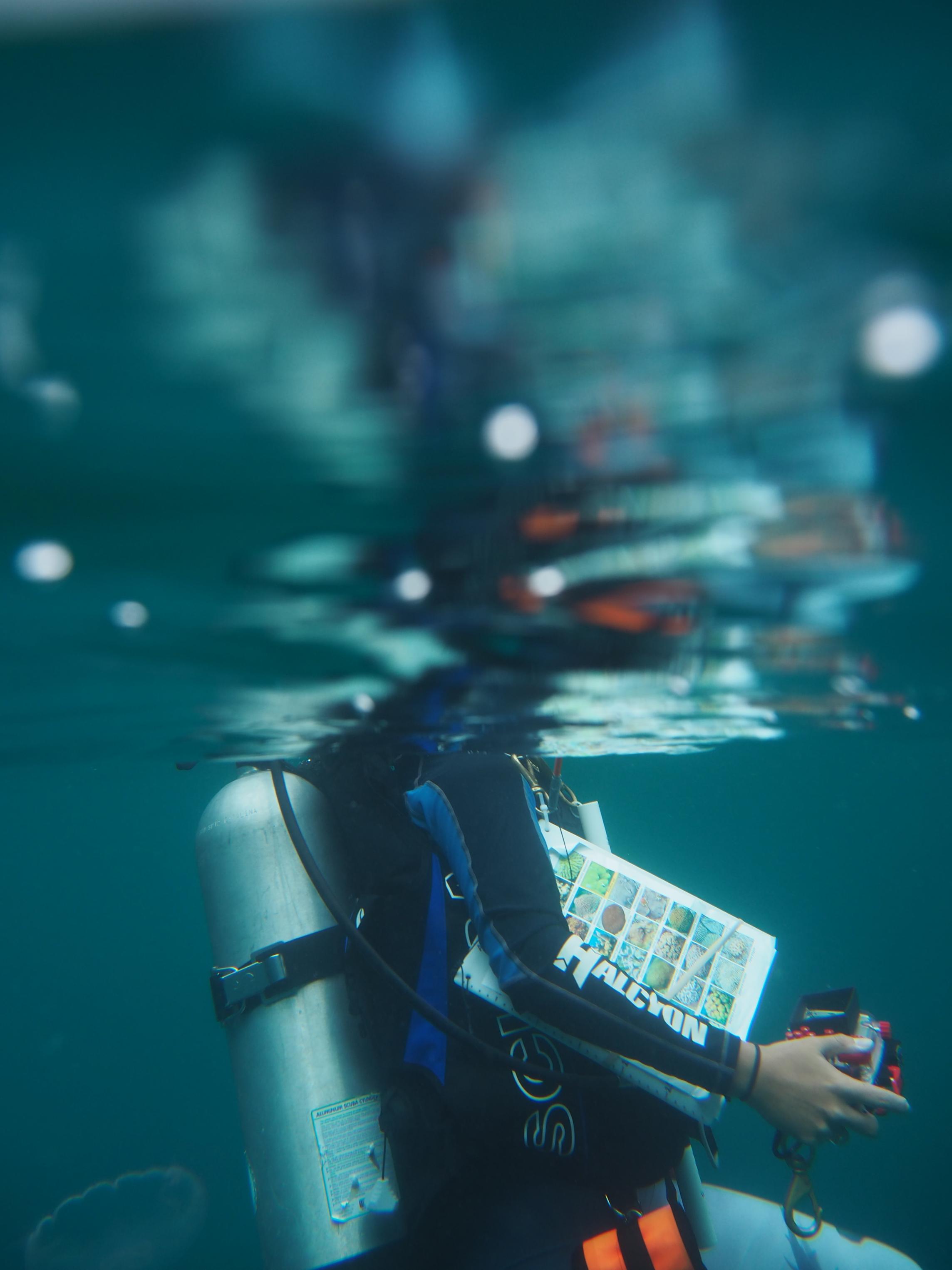 Diver with a slate on the surface