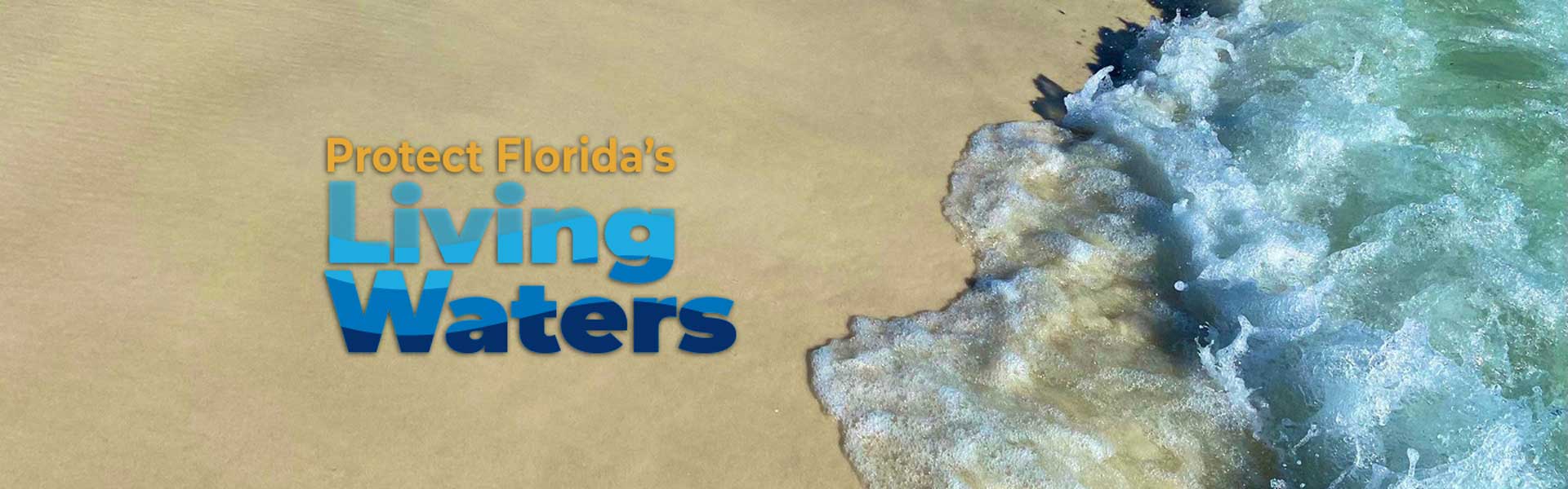 Protect Florida's Living Waters