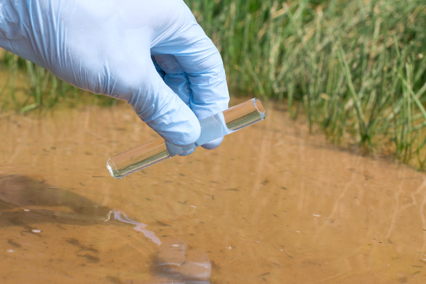 Sample water from the river for analysis - hand in glove holding tube