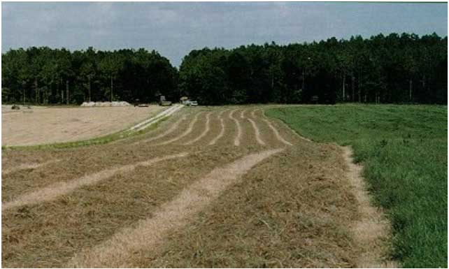 Biosolids from a domestic wastewater treatment facility are applied to a coastal bermuda grass field in Tallahassee.