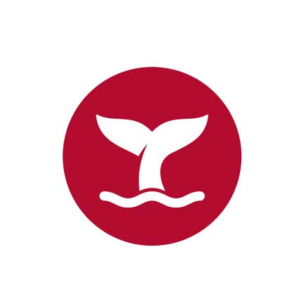 Whale tail icon Whale tail icon