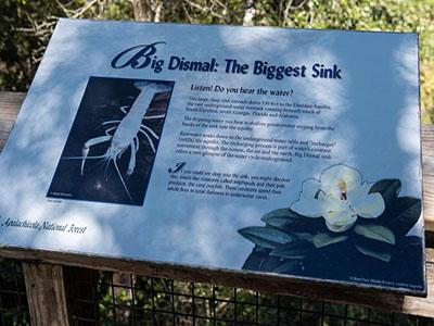 Information about Big Dismal Sink