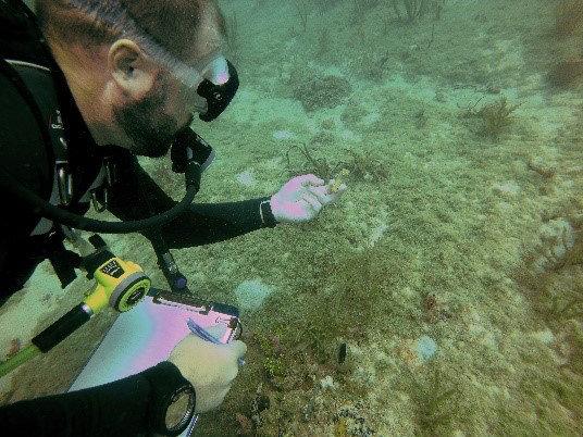 DEP Biologist Brendan Biggs performing an underwater survey