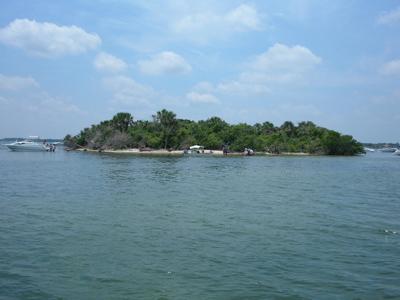 A Spoil Island at Banana River Aquatic Preserve