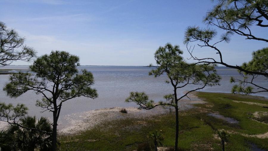 A view of the shoreline and waters of St. Joseph Bay Aquatic Preserve
