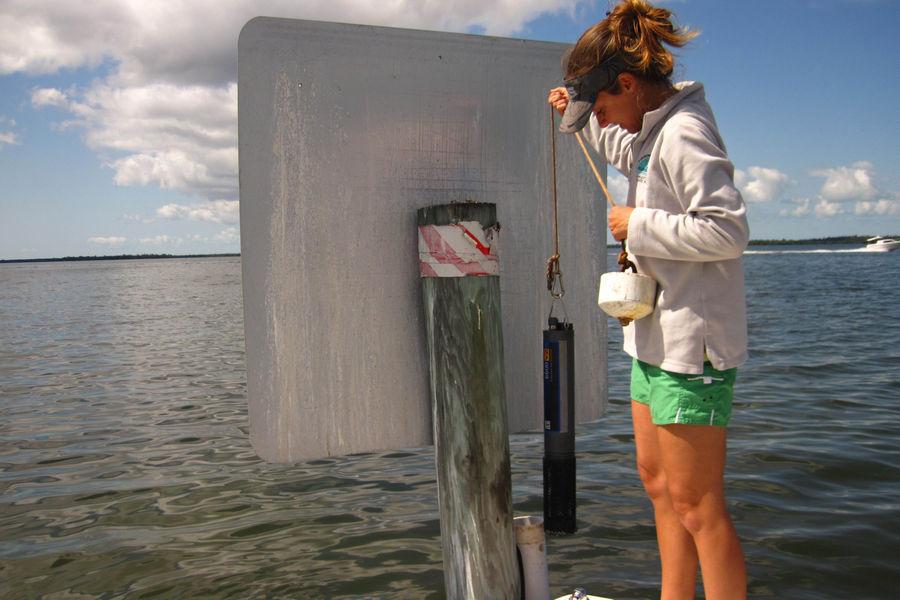 Volunteers monitor water quality as part of the Charlotte Harbor Estuaries Volunteer Water Quality Monitoring Network