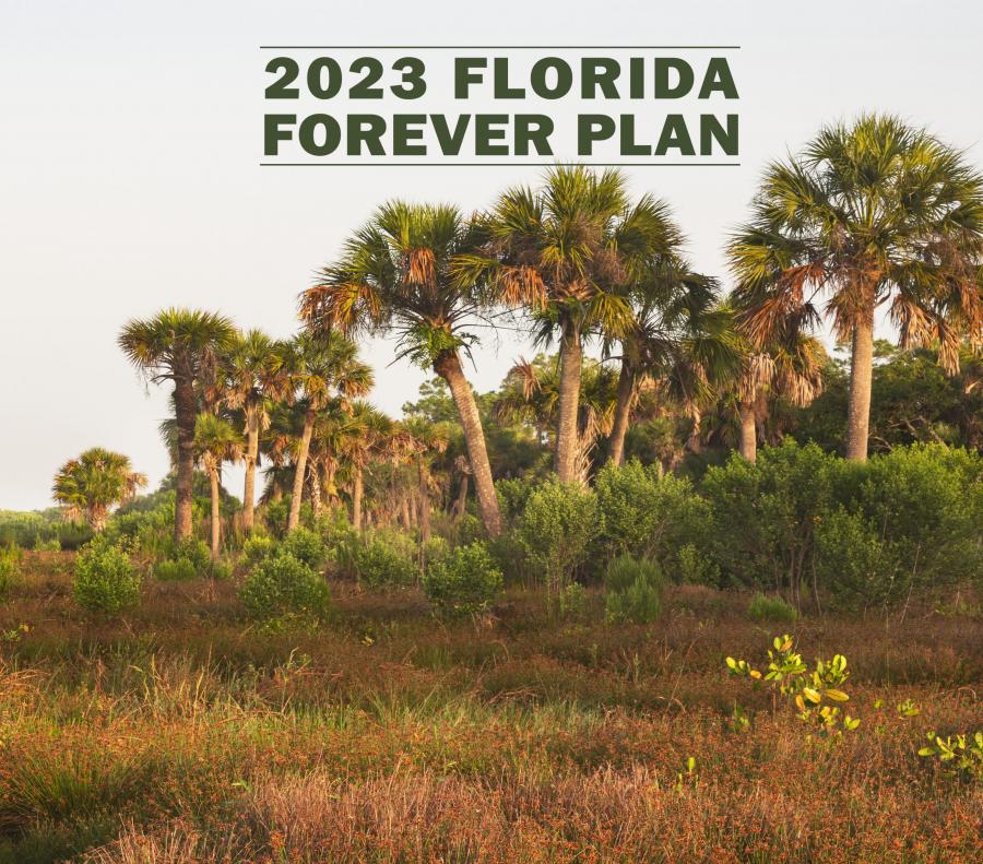 Link to 2023 Florida Forever Story Map