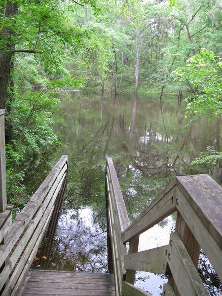 Florida Geological Survey Flooding of Stairs at Falmouth Springs, Suwannee Co, April 2009
