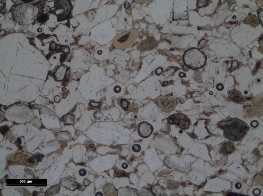 Geologic Thin Section in Transmitted Light