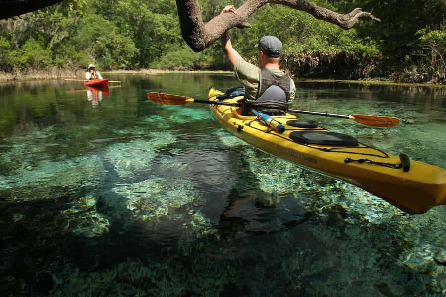 A kayaker hols onto a brach over clear water along the Ichetucknee River