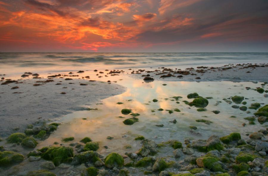 Honeymoon Island State Park - Tidal pool and Red sky