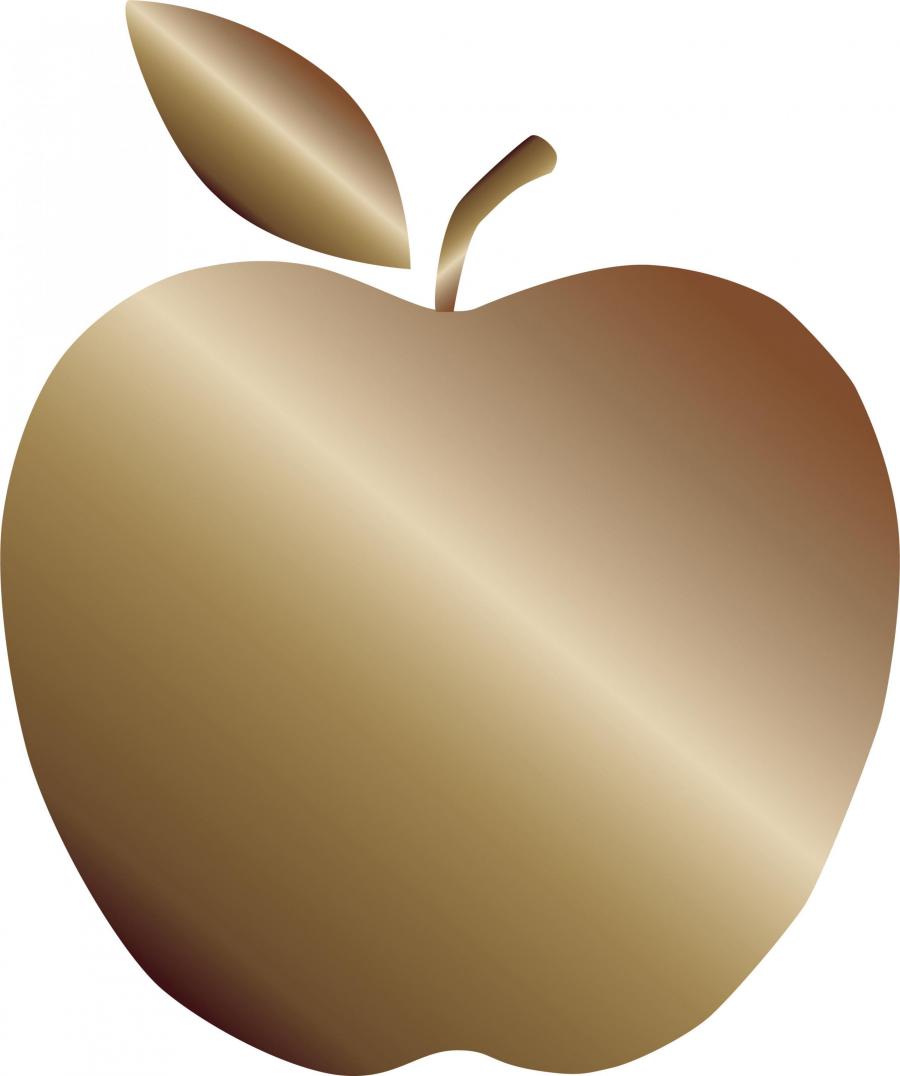 Graphic of the Green Schools Bronze Apple Designation
