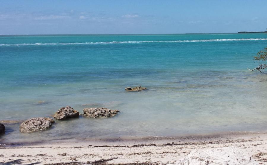 A view of the ocean looking out at Lignumvitae Key Aquatic Preserve