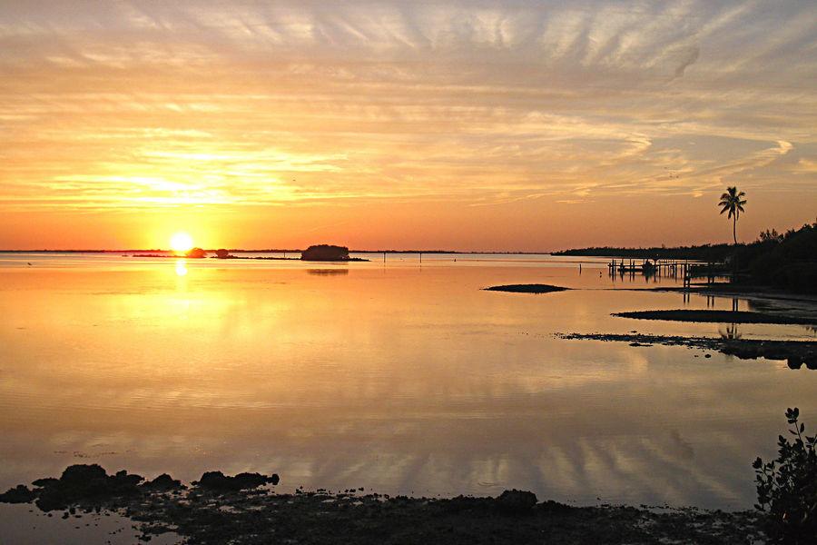 Pine Island Sound Aquatic Preserve is surrounded by mangroves and oyster bars