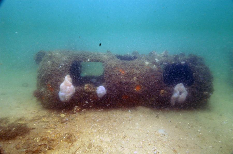 This propane tank is an example of the materials illegally dumped in an attempt to create artificial reefs, but which can cause damage to seagrass habitat.