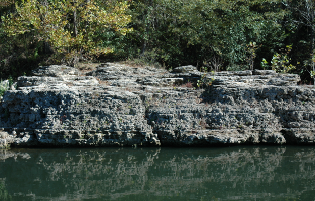 Torreya Formation exposed at Rock Bluff