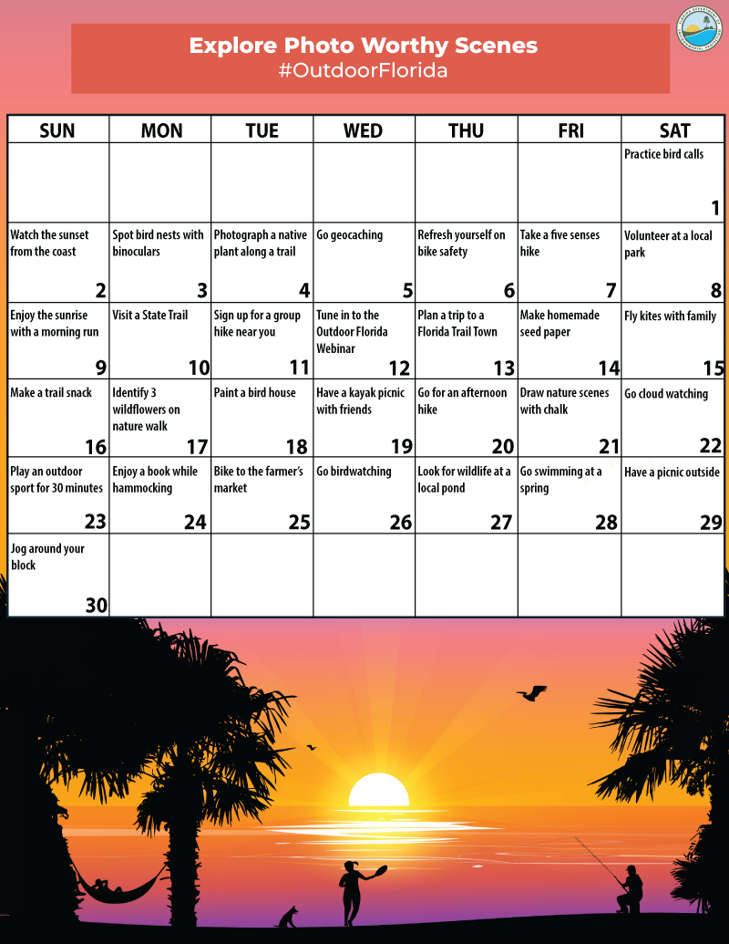 June 2024 activity month calendar