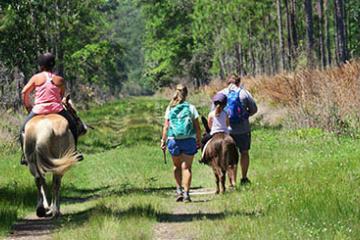 Hikers and equestrians on trail on unpaved road by Doug Alderson