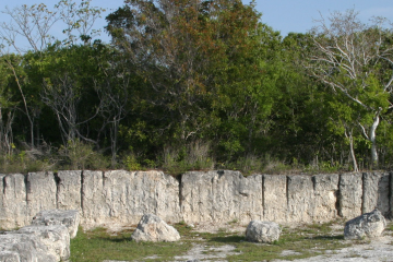 Windley Quarry Limestone Wall