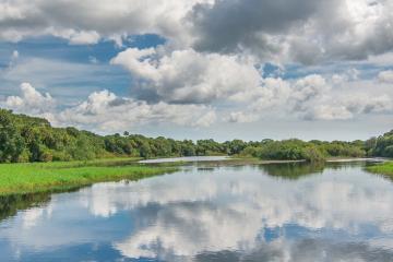 wetland with water, tree line and clouds