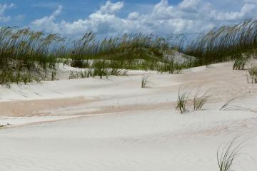 Sand dunes at Anastasia State Park