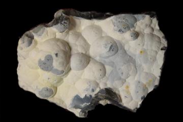 Close-up of Agate specimen