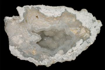 Close-up specimen of Agatized Coral with Quartz