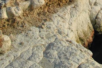Chattahoochee Formation on Apalachicola River, Jackson County