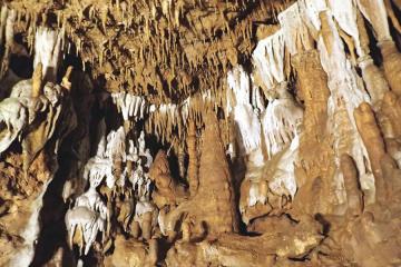 Cave formation at Florida Caverns State Park