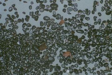 Illmenite Sand