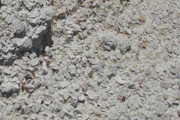 Marianna Limestone at Brooks Quarry, Jackson County