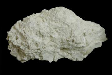 Ocala LS Specimen