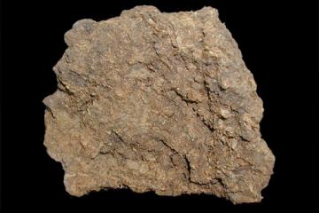 Peat