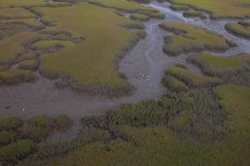 An aerial view of a salt marsh at Guana Tolomato Matanzas National Estuarine Research Reserve