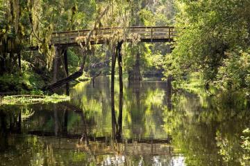 Hillsborough River State Park - Bridge crossing the river