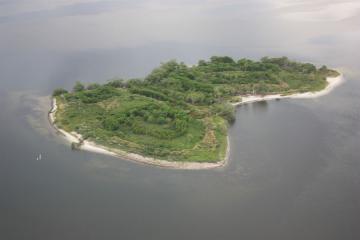 Spoil Island SL3 35 months after enhancement