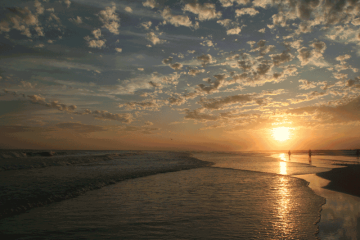 marsh area of Indian River Lagoon Aquatic Preserve