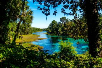 Rainbow Springs State Park - View of the springs