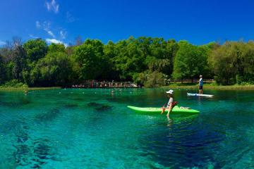 Rainbow Springs