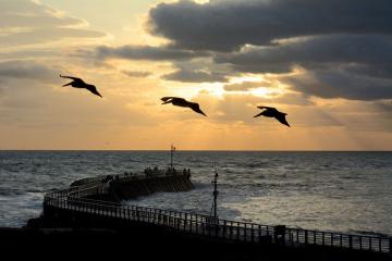 Sebastian Inlet State Park - North Jetty