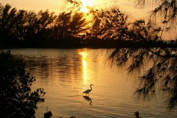 Skyway Fishing Pier State Park - Sun peeking through the trees across the water