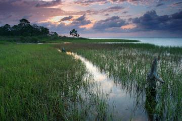 T.H. Stone Memorial St. Joseph Peninsula State Park - Looking out over the marsh