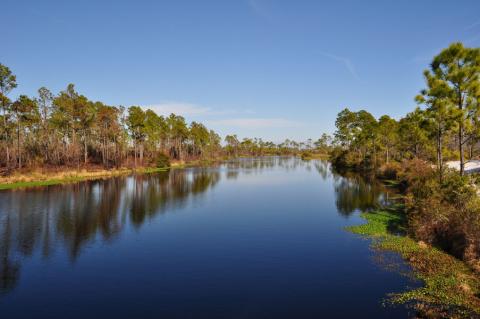 Big Lagoon State Park - View from the boardwalk