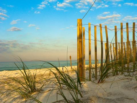 Grayton Beach State Park - Fence on the beach