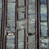 Segment of the Devils Mill Hopper Core, Alachua County