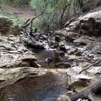 Dead River Swallet, one of the geological features of the Jennings Bluff T