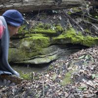 Outcrop in Upper Alapaha Conservation Area, Hamilton County, Jan 2014