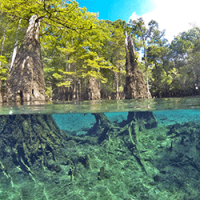 Ichetucknee Springs