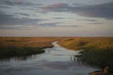 Opening of river in everglades